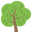 :deciduous_tree: