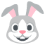 :rabbit: