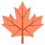 :maple_leaf: